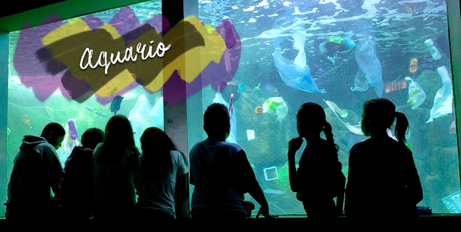 aquario de sp aquario de sp