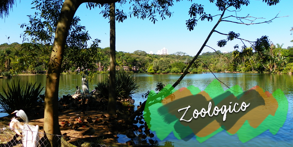 zoologico de sp zoologico de sp
