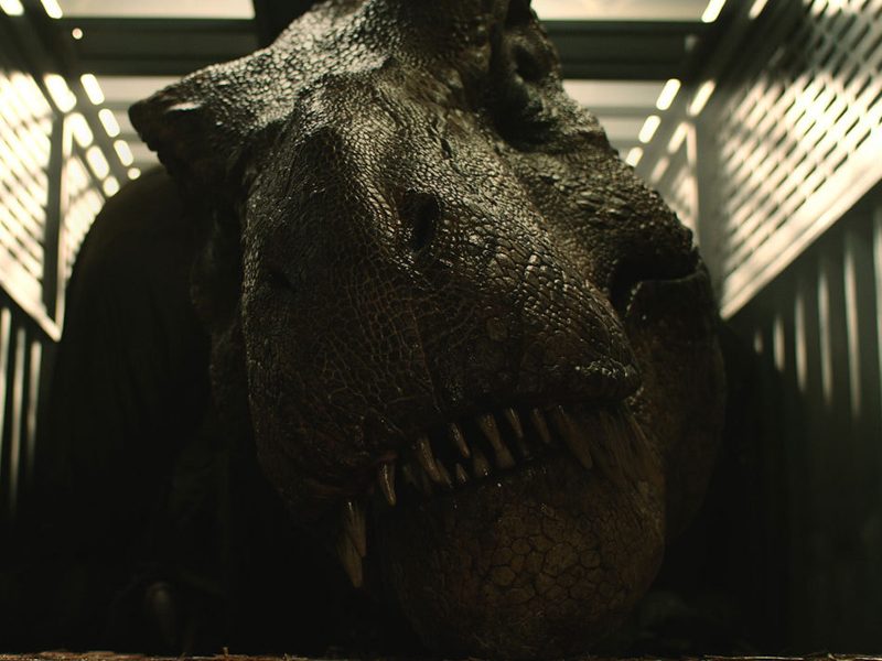 REINO AMEAÇADO | Filme deve abrir caminho para Jurassic World 3!