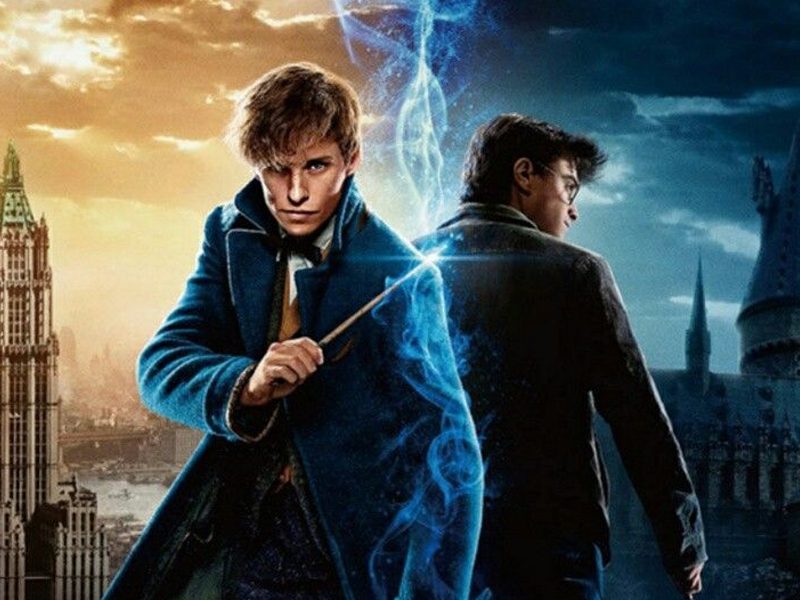 WARNER | Prepare sua varinha para uma maratona de Harry Potter e Animais Fantásticos!