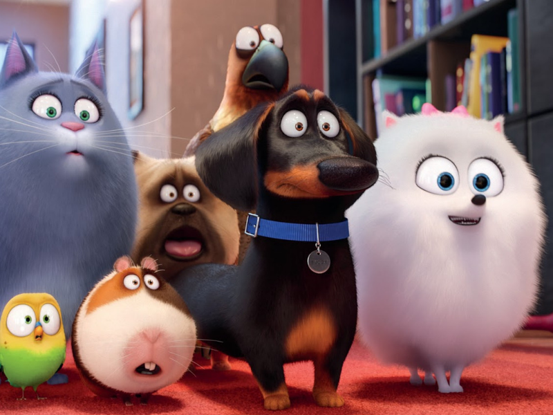 UNIVERSAL | Estúdio exibe a animação Pets: A Vida Secreta dos Bichos!