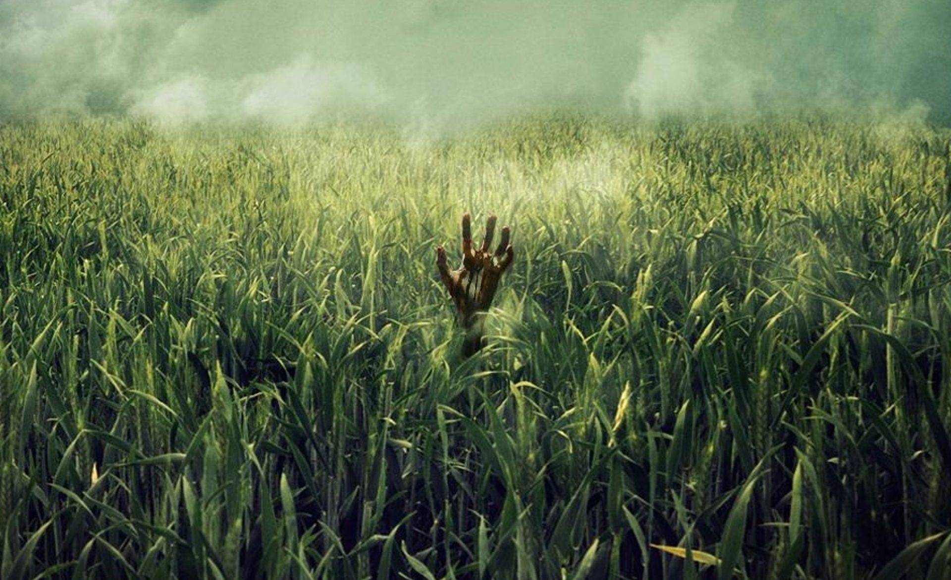 CAMPO DE MEDO | Mais um terror de Stephen King vira filme na Netflix! Veja o trailer!