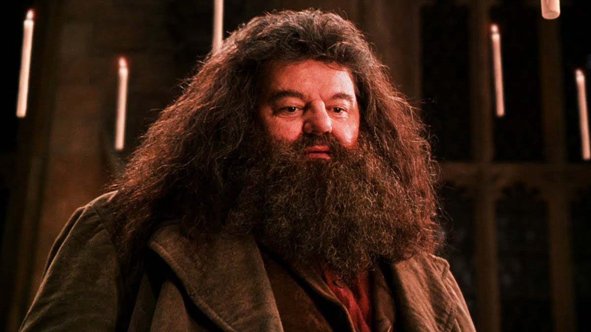 Teoria explica como Hagrid entraria em Animais Fantásticos