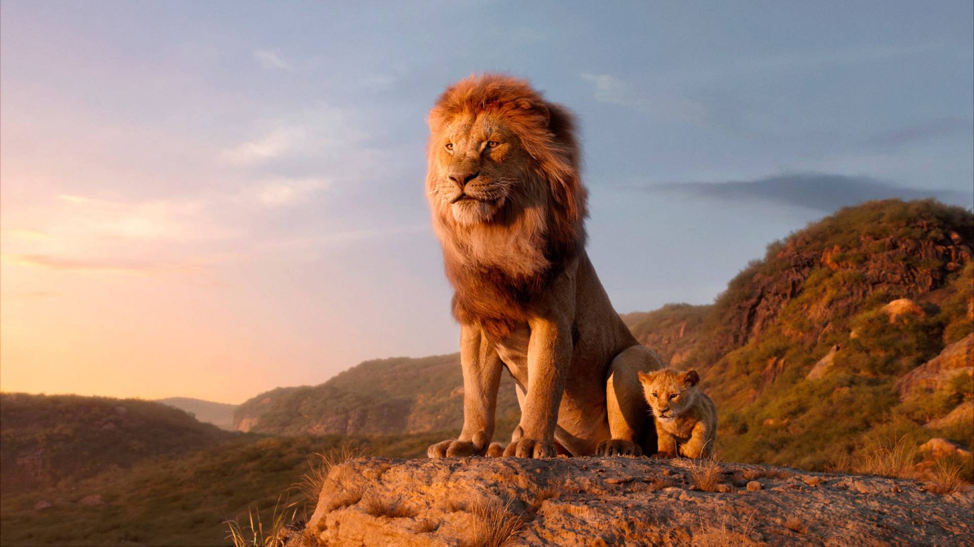‘O Rei Leão’ ganhará sequência dirigida por Barry Jenkins