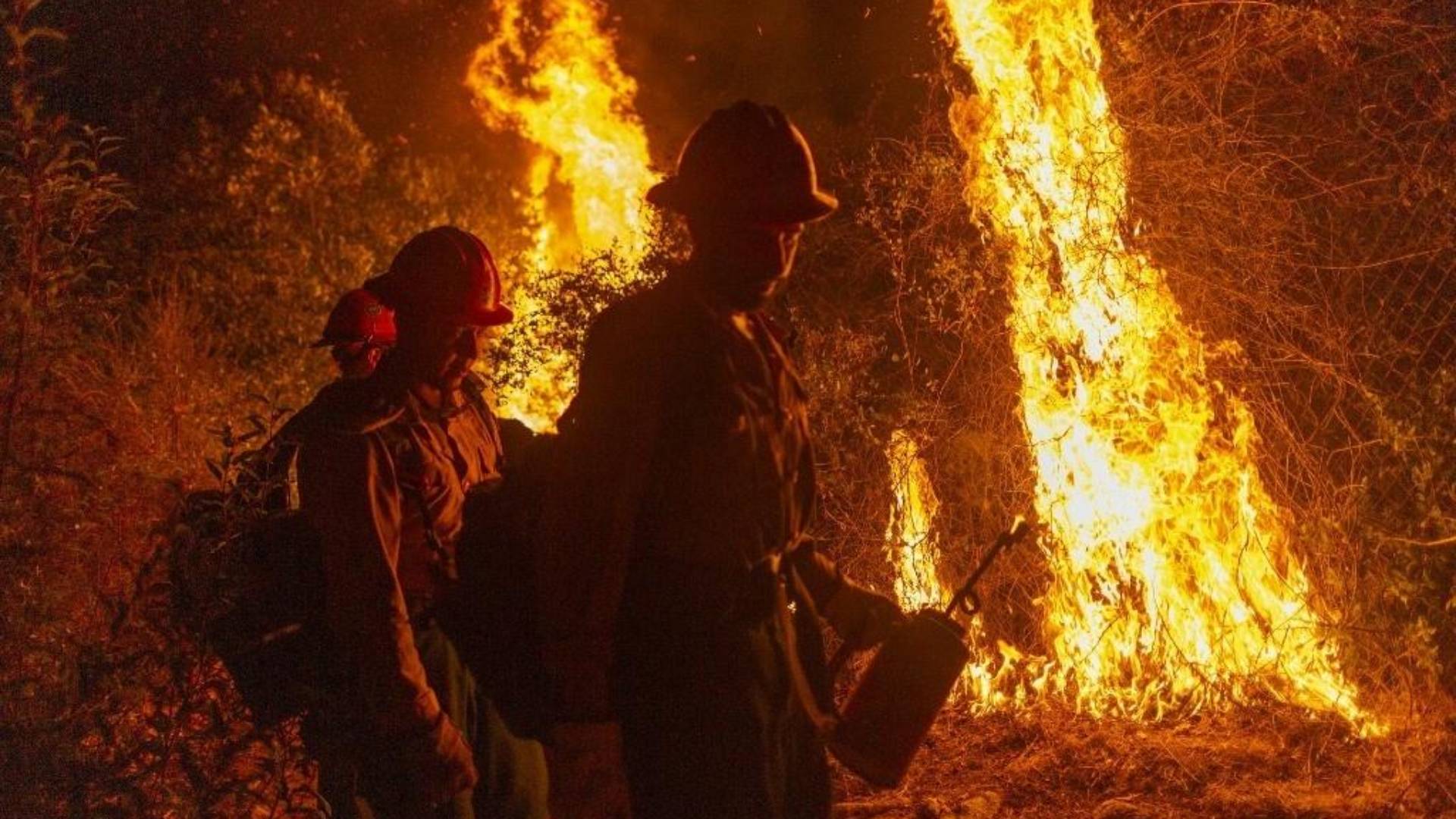 Nat Geo estreia novo documentário de Ron Howard ‘Paradise: Incêndios na California’