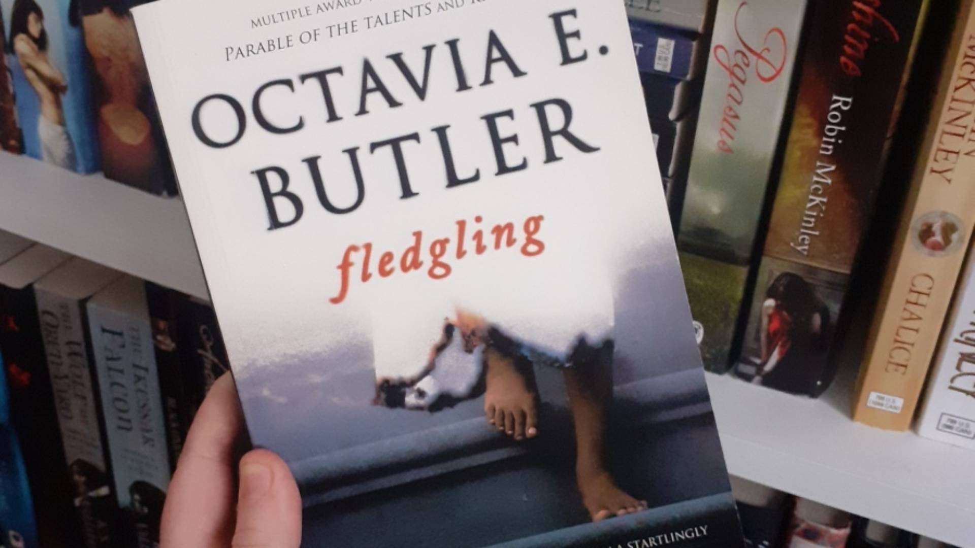 HBO Max encomenda Fledgling, baseado em romance de Octavia Butle