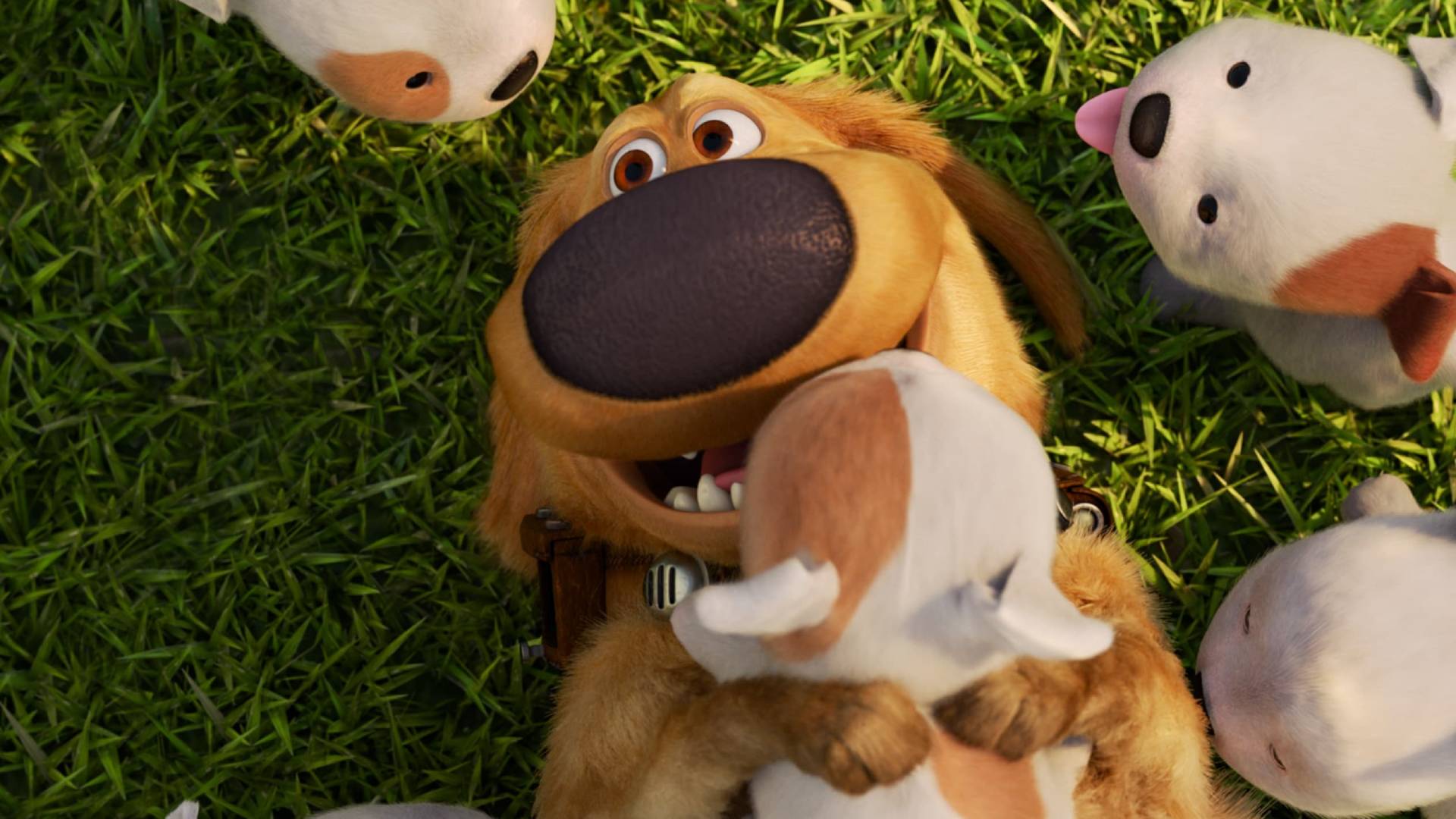 Pixar Fest: Estreias e conteúdos especiais em setembro