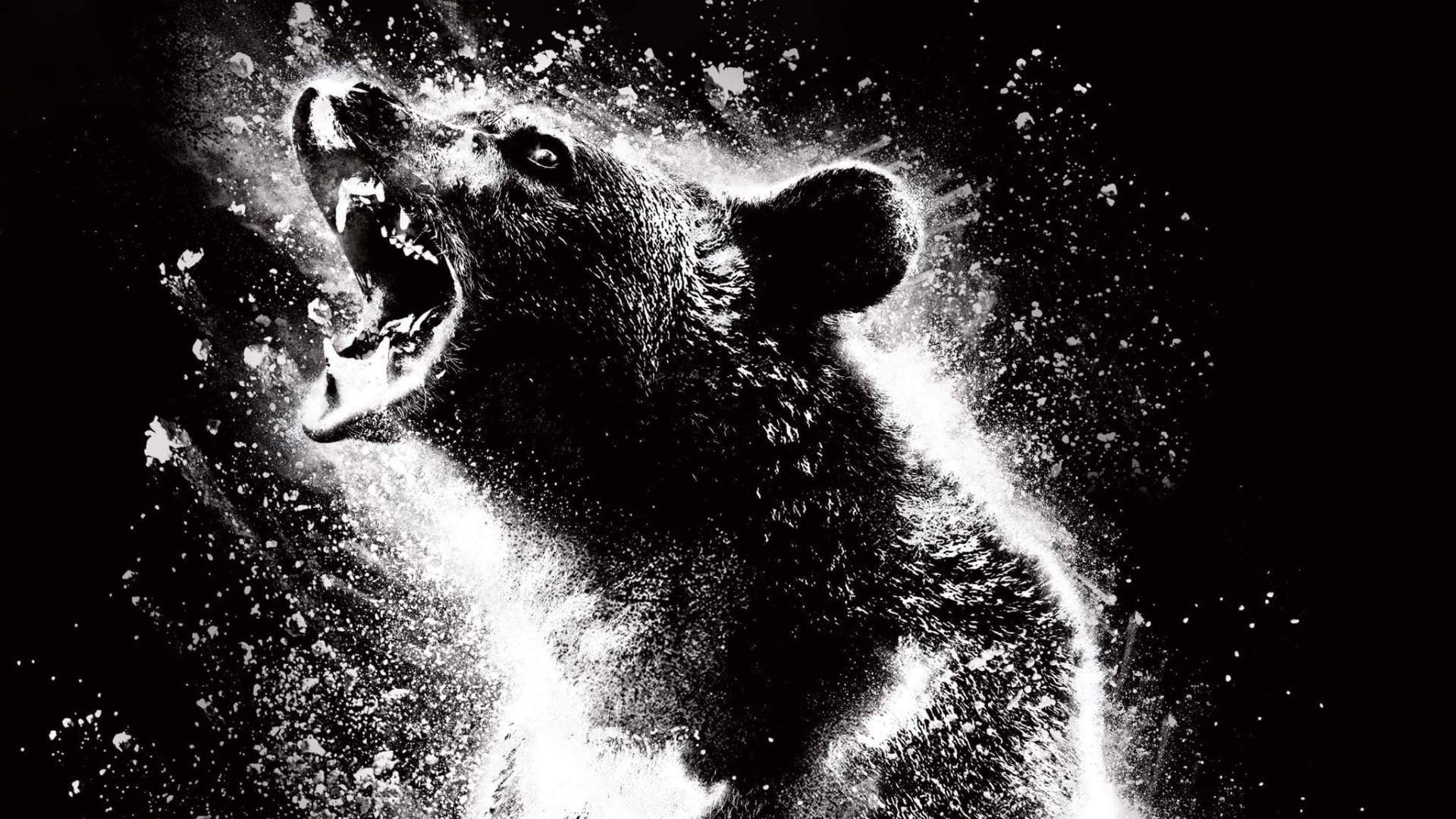 A história real por trás do filme O Urso do pó branco
